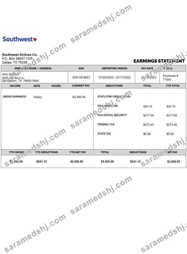 SOUTHWEST AIRLINES CO earnings statement in PDf and Word formats